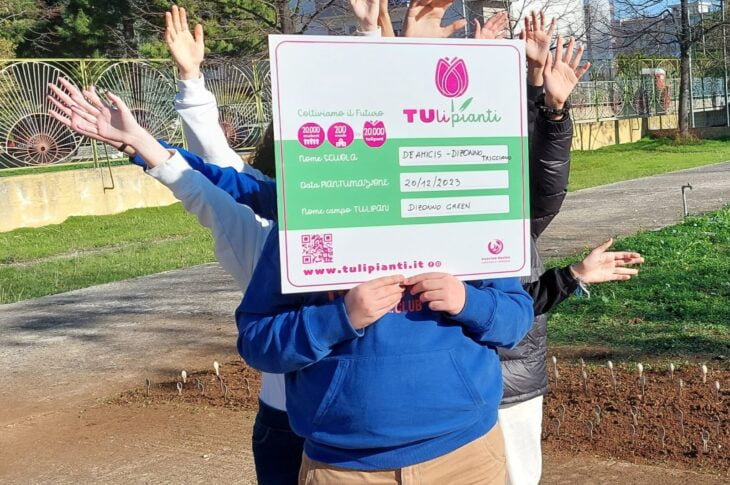 Tulipianti1