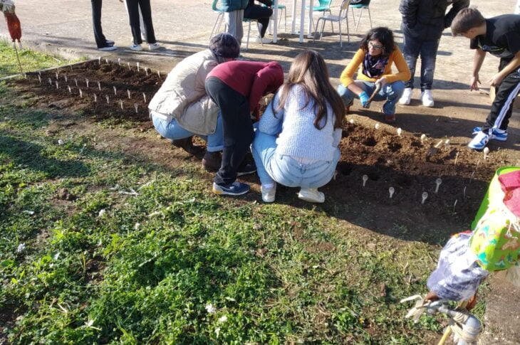 Tulipianti21