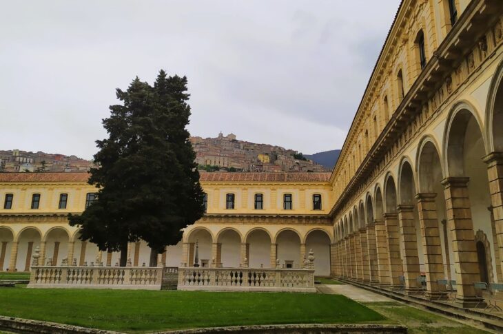 Certosa D.P.14