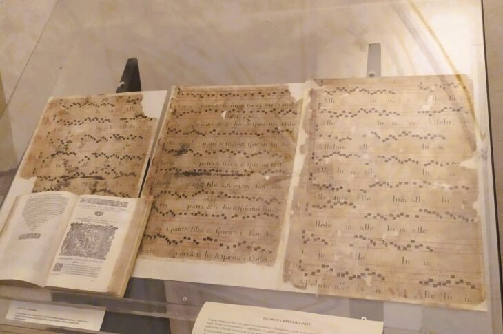 Certosa D.P.5