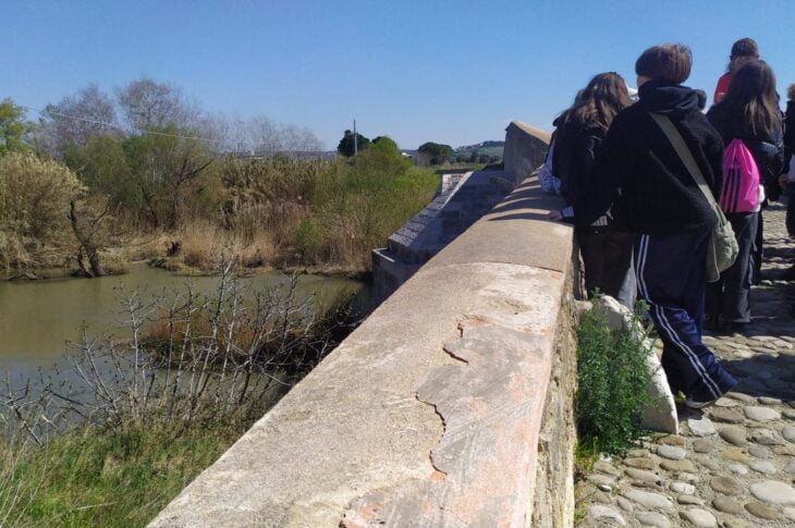 Foce Ofanto13