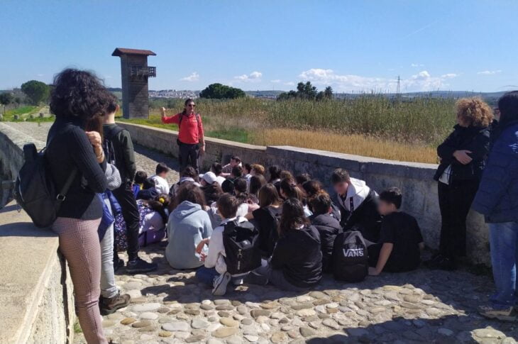 Foce Ofanto17