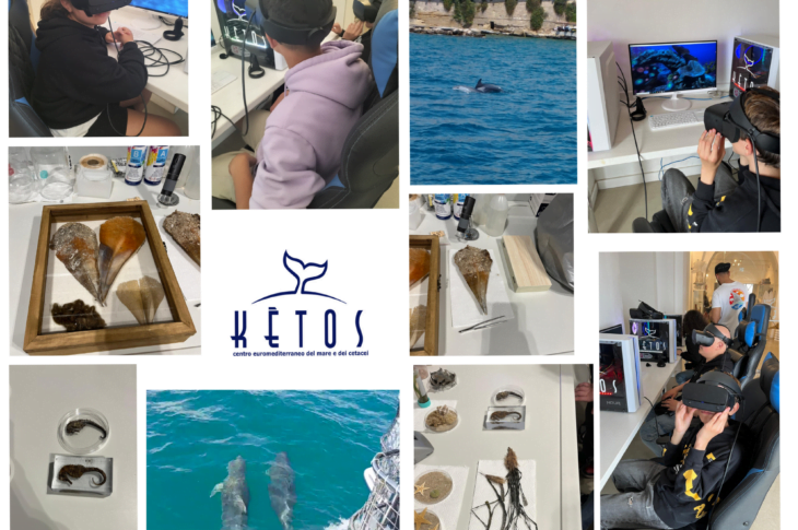 collage ketos2