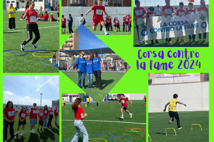 collage2