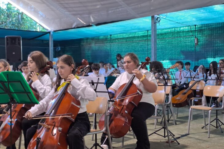 Orchestra 12