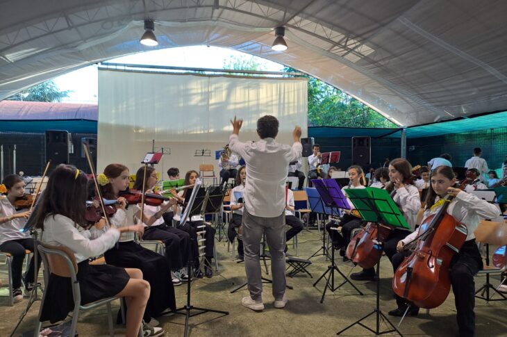 Orchestra 7